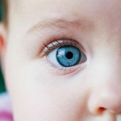 kids eyewear - baby eyes
